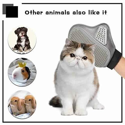 Stainless Steel Pet Grooming Glove – Gentle Deshedding & Massage Brush for Dogs & Cats